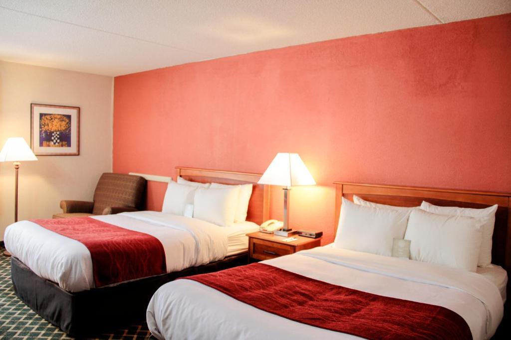 Comfort Inn & Suites Airport Syracuse Rum bild