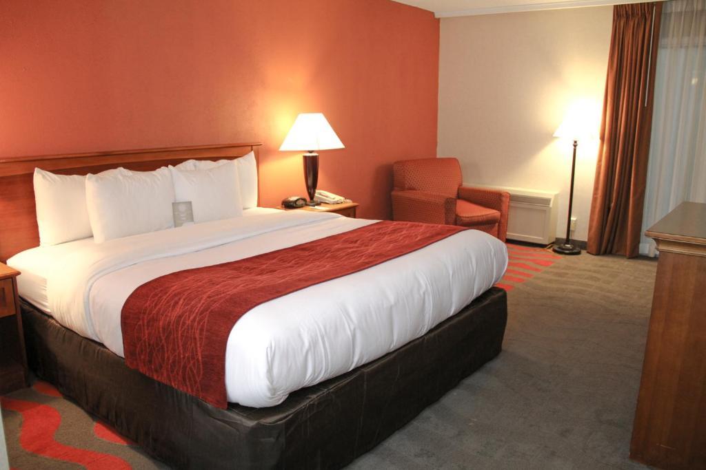 Comfort Inn & Suites Airport Syracuse Rum bild